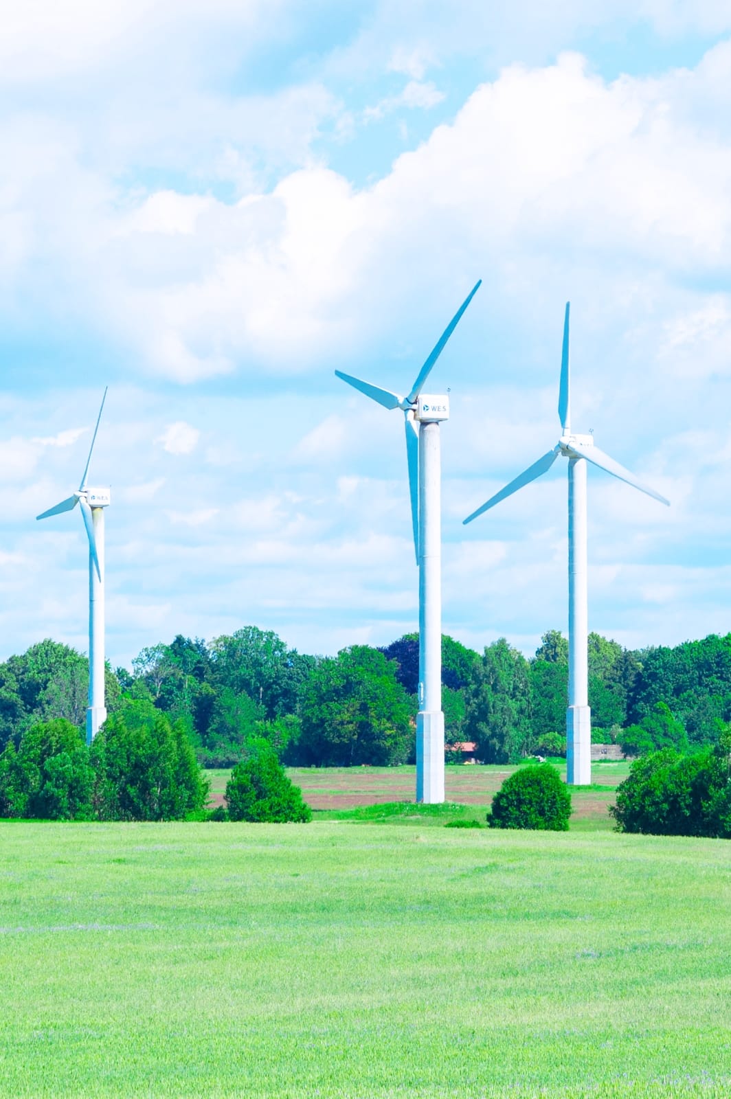 株式会社ハンワ